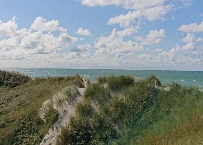 6 Person In Blokhus-by Traum